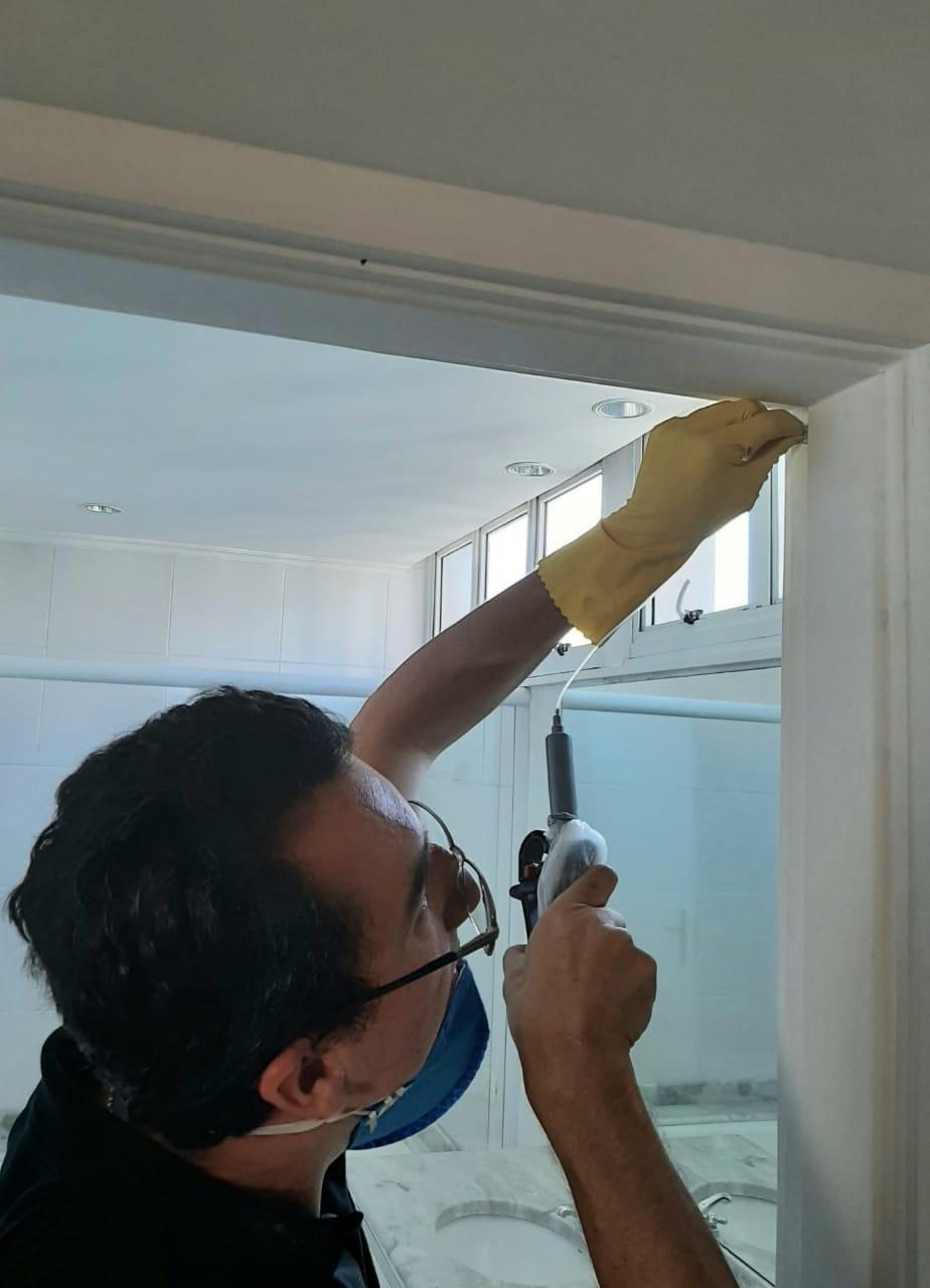Como eliminar ratos de forma segura e proteger sua família